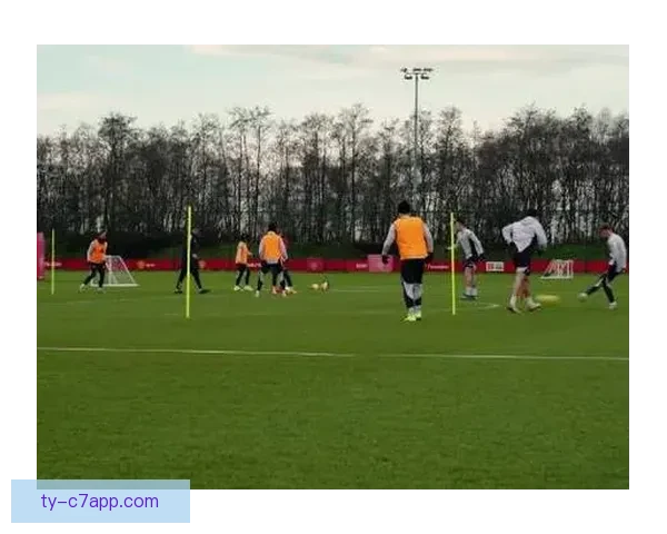 霍兰布置作业卡里克缩短训练